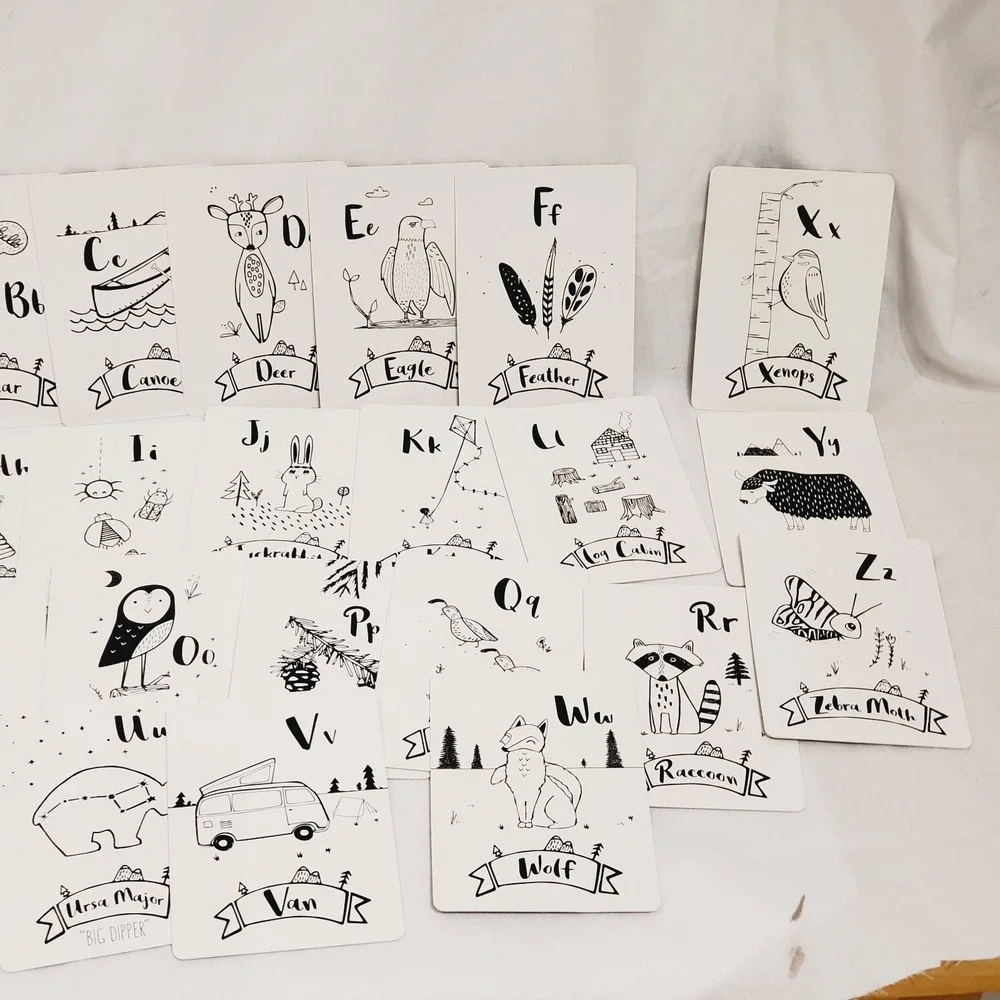 Animal Alphabet Number Cards Yolo Kids Educational Box Has Issues‎